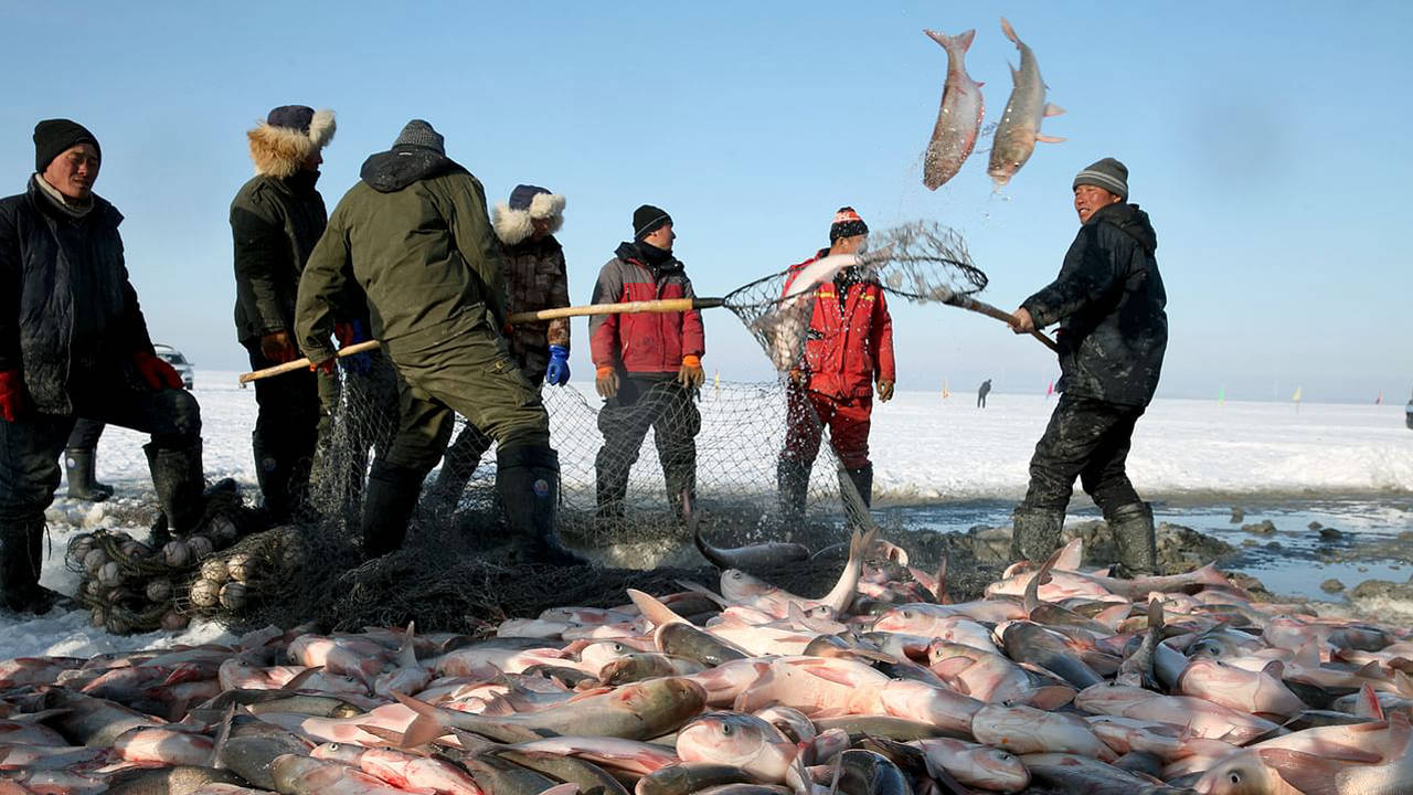 Chine : les pêcheurs de glace du lac Chagan